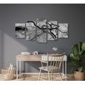 5-PIECE CANVAS PRINT SURREALISTIC TREES IN BLACK AND WHITE - BLACK AND WHITE PICTURES - PICTURES