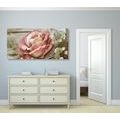 CANVAS PRINT ELEGANT VINTAGE ROSE - VINTAGE AND RETRO PICTURES - PICTURES