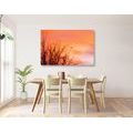 CANVAS PRINT COLORFUL SKY - PICTURES OF NATURE AND LANDSCAPE - PICTURES