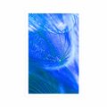 POSTER BEAUTIFUL DANDELION IN BLUE DESIGN - FLOWERS - POSTERS