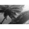 CANVAS PRINT BEAUTIFUL BEACH ON THE ISLAND OF SEYCHELLES IN BLACK AND WHITE - BLACK AND WHITE PICTURES - PICTURES