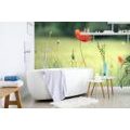 SELF ADHESIVE WALL MURAL LONELY POPPY - SELF-ADHESIVE WALLPAPERS - WALLPAPERS