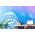 SELF ADHESIVE WALLPAPER DANDELION ON A BLUE BACKGROUND - SELF-ADHESIVE WALLPAPERS - WALLPAPERS