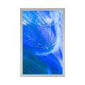 POSTER BEAUTIFUL DANDELION IN BLUE DESIGN - FLOWERS - POSTERS