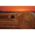 WALL MURAL HAY BALES - WALLPAPERS NATURE - WALLPAPERS