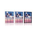 POSTER SUNSET OVER TROPICAL PALM TREES - NATURE - POSTERS