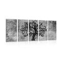 5-PIECE CANVAS PRINT BLACK AND WHITE TREE OF LIFE - BLACK AND WHITE PICTURES - PICTURES