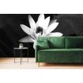 SELF ADHESIVE WALLPAPER BLACK AND WHITE WATER LILY - SELF-ADHESIVE WALLPAPERS - WALLPAPERS