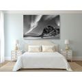 CANVAS PRINT NORTHERN LIGHTS IN NORWAY IN BLACK AND WHITE - BLACK AND WHITE PICTURES - PICTURES