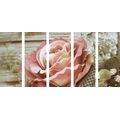 5-PIECE CANVAS PRINT ELEGANT VINTAGE ROSE - VINTAGE AND RETRO PICTURES - PICTURES