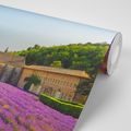 SELF ADHESIVE WALL MURAL PROVENCE WITH LAVENDER FIELDS - SELF-ADHESIVE WALLPAPERS - WALLPAPERS