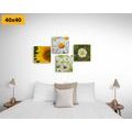 CANVAS PRINT SET MEADOW FLOWERS - SET OF PICTURES - PICTURES