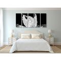 5-PIECE CANVAS PRINT BLACK AND WHITE CARING ANGEL IN THE SLY - BLACK AND WHITE PICTURES - PICTURES