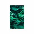 POSTER WITH MOUNT FRESH TROPICAL LEAVES - NATURE - POSTERS