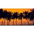 CANVAS PRINT SUNSET OVER PALM TREES - PICTURES OF NATURE AND LANDSCAPE - PICTURES