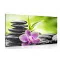 QUADRO COMPOSIZIONE MEDITATIVA ZEN - QUADRI FENG SHUI - QUADRI