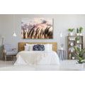 CANVAS PRINT BLADES OF FIELD GRASS - PICTURES OF NATURE AND LANDSCAPE - PICTURES