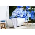 WALL MURAL WILD BLUE FLOWERS - WALLPAPERS FLOWERS - WALLPAPERS