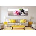 CANVAS PRINT HARMONIOUS STILL LIFE - PICTURES FENG SHUI - PICTURES
