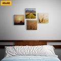 CANVAS PRINT SET MAGIC OF NATURE - SET OF PICTURES - PICTURES