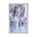 POSTER MAKRO PUSTEBLUME - BLUMEN - POSTER