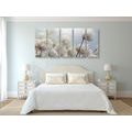 5-PIECE CANVAS PRINT ARCTIC COTTON FLOWERS - PICTURES FLOWERS - PICTURES