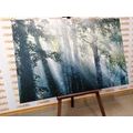 CANVAS PRINT SUN RAYS IN A FOGGY FOREST - PICTURES OF NATURE AND LANDSCAPE - PICTURES