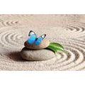 SELF ADHESIVE WALL MURAL BLUE BUTTERFLY ON A ZEN STONE - SELF-ADHESIVE WALLPAPERS - WALLPAPERS