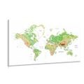 CANVAS PRINT CLASSIC WORLD MAP WITH A WHITE BACKGROUND - PICTURES - 🔥 TOTAL SALE 🔥
