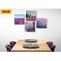 CANVAS PRINT SET BEAUTIFUL LAVENDER FIELDS - SET OF PICTURES - PICTURES