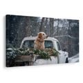 OBRAZ VÁNOČNÍ PES NA ZASNĚŽENÉ KORBĚ - VÁNOČNÍ A ZIMNÍ OBRAZY - OBRAZY