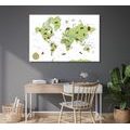 DECORATIVE PINBOARD MAP WITH ANIMALS - PICTURES ON CORK - PICTURES