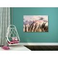 CANVAS PRINT BLADES OF FIELD GRASS - PICTURES OF NATURE AND LANDSCAPE - PICTURES