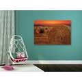 TABLEAU SUR TOILE – BALLOTS DE FOIN - TABLEAUX DE LA NATURE ET DES PAYSAGES - TABLEAUX