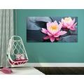 CANVAS PRINT LOTUS FLOWER IN A LAKE - PICTURES FLOWERS - PICTURES