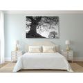 CANVAS PRINT SYMBIOSIS OF TREES IN BLACK AND WHITE - BLACK AND WHITE PICTURES - PICTURES