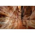 CANVAS PRINT GRAND CANYON PATHWAY - PICTURES OF NATURE AND LANDSCAPE - PICTURES