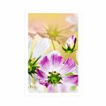 POSTER SOMMERBLUMEN - BLUMEN - POSTER