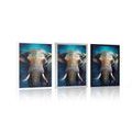 POSTER ELEFANT ALBASTRU-AURIU - POSTERE - 🔥 REDUCERE TOTALÃ 🔥