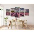 5-PIECE CANVAS PRINT LANDSCAPE OF LAVENDER FIELDS - PICTURES OF NATURE AND LANDSCAPE - PICTURES