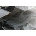 OBRAZ MEDVEDÍK ČISTOTNÝ S NOVINAMI NA ZÁCHODE - OBRAZY ZVIERAT - OBRAZY