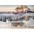 SELF ADHESIVE WALL MURAL ROZSUTEC IN A BLANKET OF SNOW - SELF-ADHESIVE WALLPAPERS - WALLPAPERS