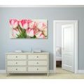 CANVAS PRINT TULIPS WITH A SPRING TOUCH - PICTURES FLOWERS - PICTURES