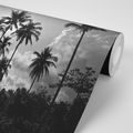 SELF ADHESIVE WALLPAPER COCONUT PALMS ON THE BEACH IN BLACK AND WHITE - SELF-ADHESIVE WALLPAPERS - WALLPAPERS