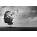 SELF ADHESIVE WALLPAPER MYSTERIOUS TREE FACE - SELF-ADHESIVE WALLPAPERS - WALLPAPERS