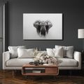 OBRAZ MAJESTÁTNÍ SLON V MLZE - OBRAZY SLONI - OBRAZY