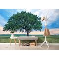 SELF ADHESIVE WALL MURAL LONELY OAK - SELF-ADHESIVE WALLPAPERS - WALLPAPERS