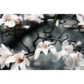 WANDBILD ERWACHENDE MAGNOLIE - BILDER BLUMEN - BILDER