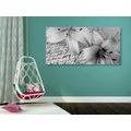 CANVAS PRINT LILY ON AN OLD DOCUMENT IN BLACK AND WHITE - BLACK AND WHITE PICTURES - PICTURES