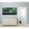 CANVAS PRINT UNUSUAL GREEN GLOW - 🔥 TOTAL SALE 🔥